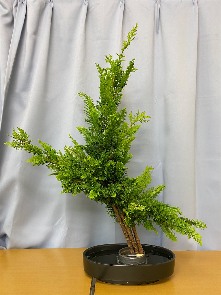 f:id:hanayasu:20221015221320j:image f:id:hanayasu:20221015221320j:image