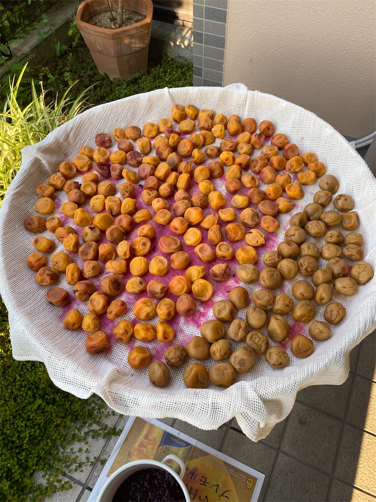 f:id:hanayasu:20240727092712j:image