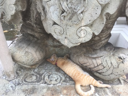 f:id:hanaykr:20180316133051j:plain