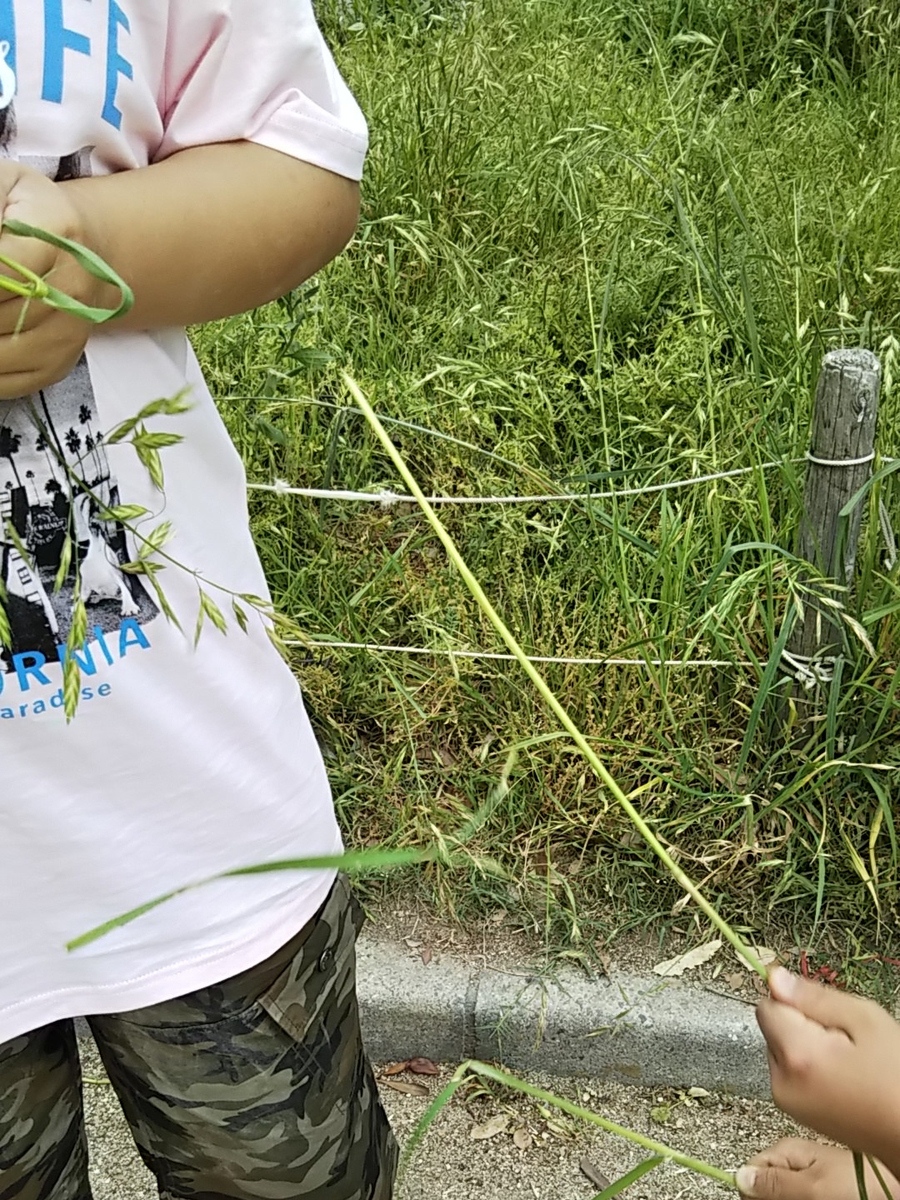 f:id:hanayoko2:20190518103825j:plain f:id:hanayoko2:20190518103825j:plain