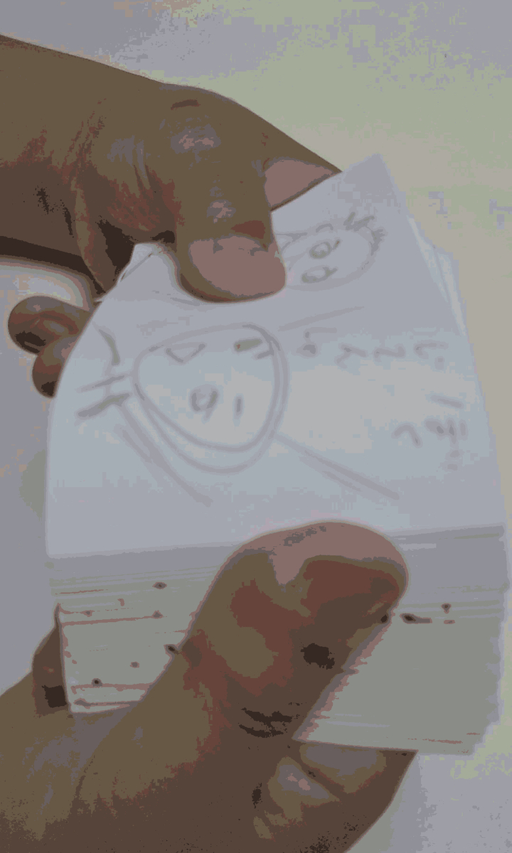 f:id:hanayoko2:20190518123906j:plain f:id:hanayoko2:20190518123906j:plain
