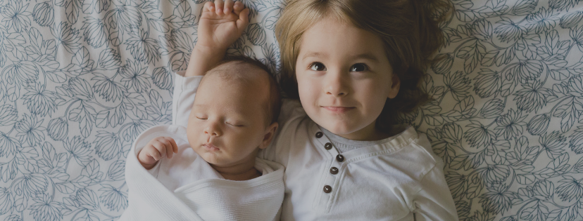 f:id:hanazoblog:20190121165704p:plain