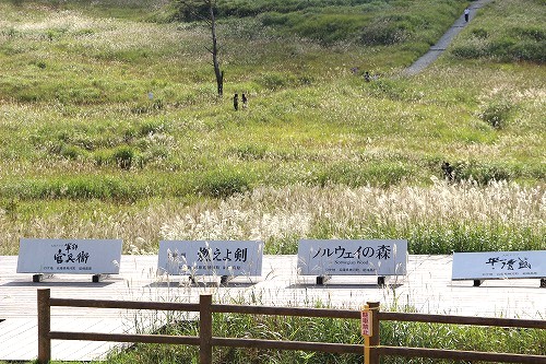 砥峰高原のススキ - 花ごよみ