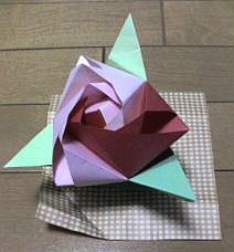 f:id:hanazukin:20051230164903j:image:w150