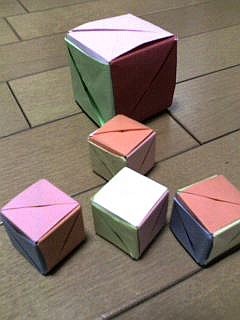 f:id:hanazukin:20051230192002j:image:w150
