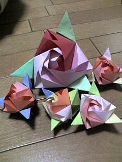 f:id:hanazukin:20051230192653j:image:w150