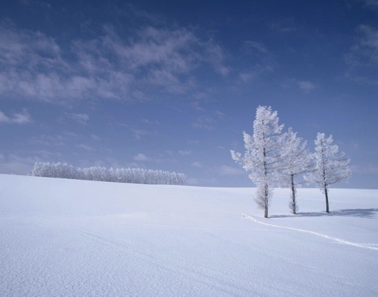 f:id:hanbaiin875:20201230092809j:plain