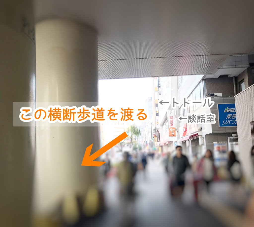 f:id:hand-sakka1000:20181115144645j:plain f:id:hand-sakka1000:20181115144645j:plain