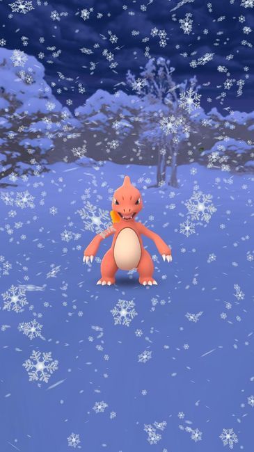 f:id:handa0428:20200225183109j:plain