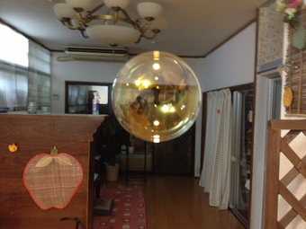 20130213232153