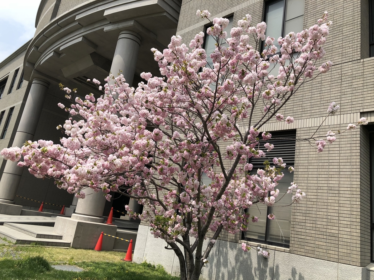 f:id:handaiadviser:20190626231123j:plain