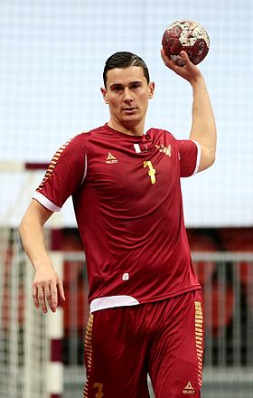 f:id:handball-jp2019:20190202151421j:plain f:id:handball-jp2019:20190202151421j:plain