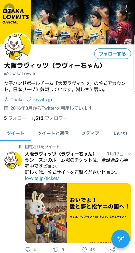 f:id:handball-jp2019:20190212124804j:plain f:id:handball-jp2019:20190212124804j:plain