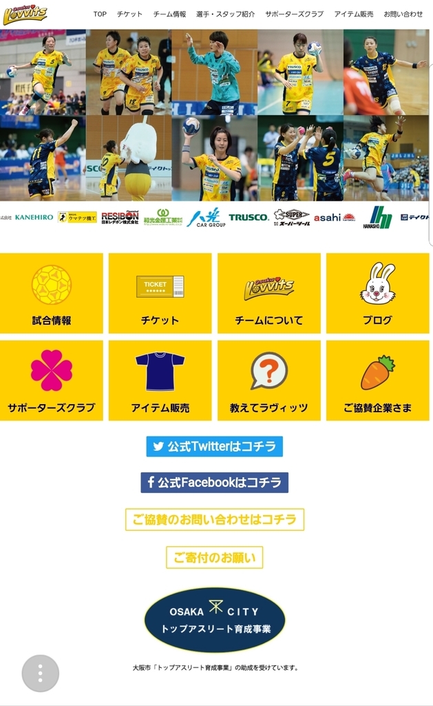 f:id:handball-jp2019:20190212125445j:plain f:id:handball-jp2019:20190212125445j:plain