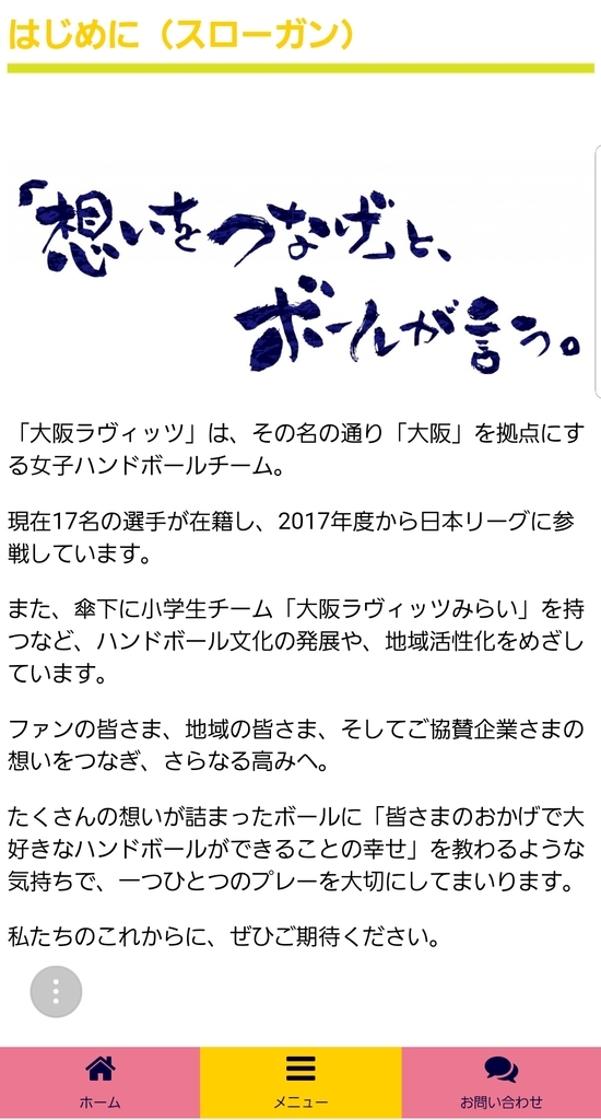 f:id:handball-jp2019:20190212132229j:plain f:id:handball-jp2019:20190212132229j:plain