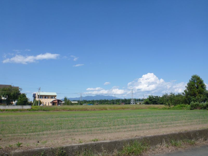 イメージ 5