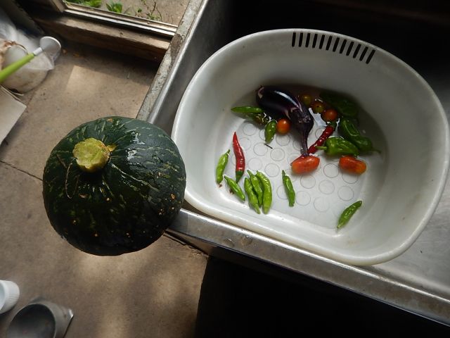 イメージ 5