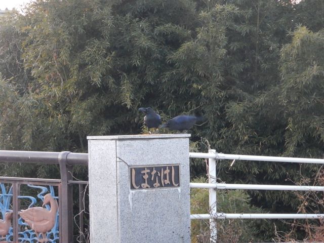イメージ 8