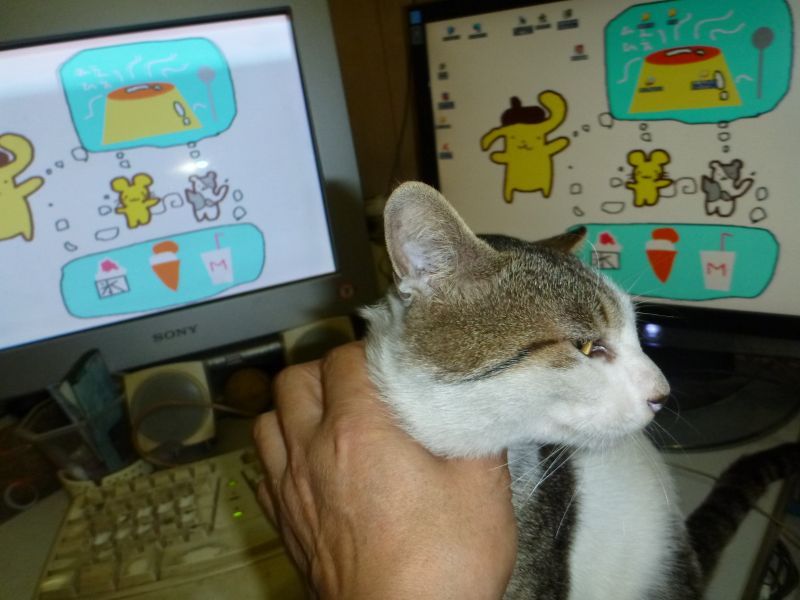 イメージ 5