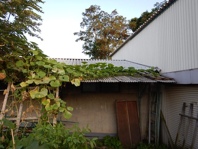 イメージ 9