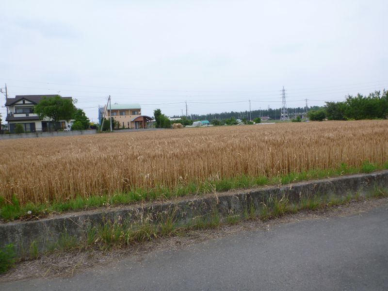 イメージ 7