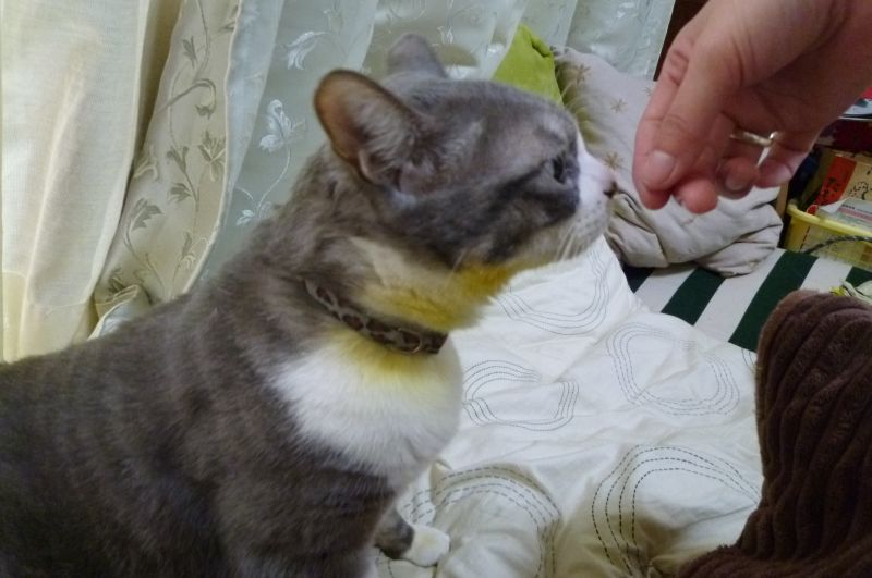 イメージ 3