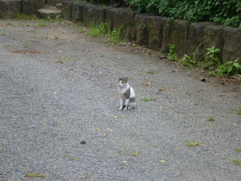 イメージ 3