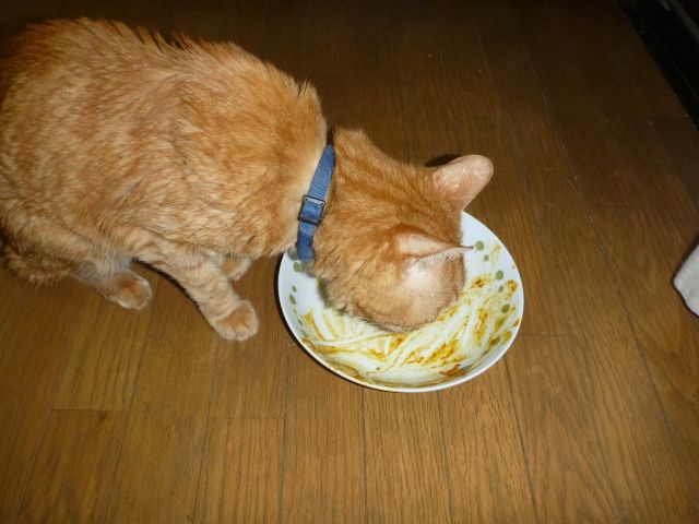 イメージ 8