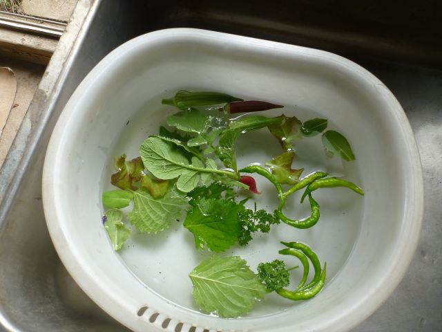 イメージ 5