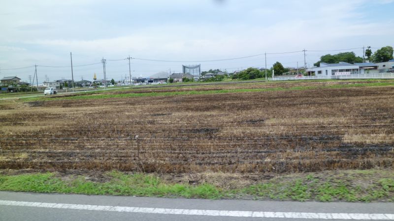 イメージ 4