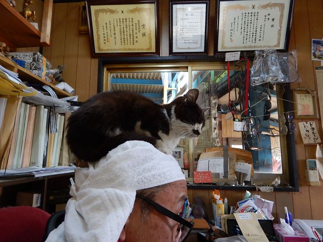 イメージ 1