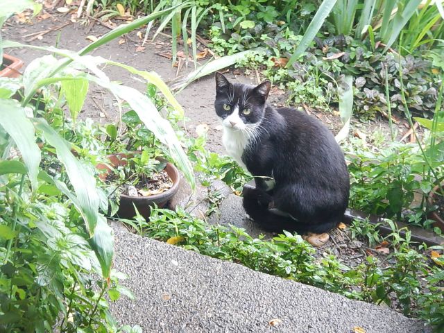 イメージ 6