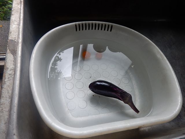 イメージ 7