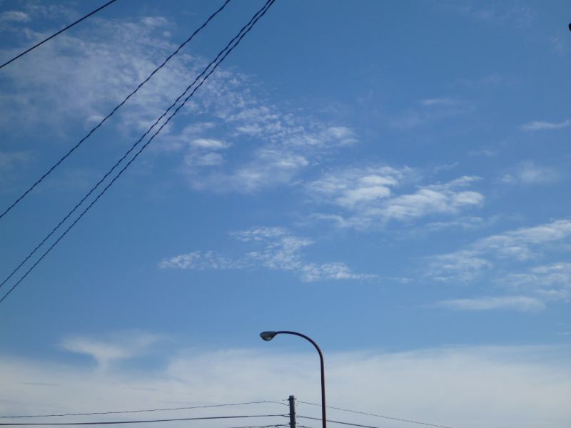 イメージ 5