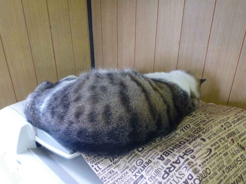 イメージ 3