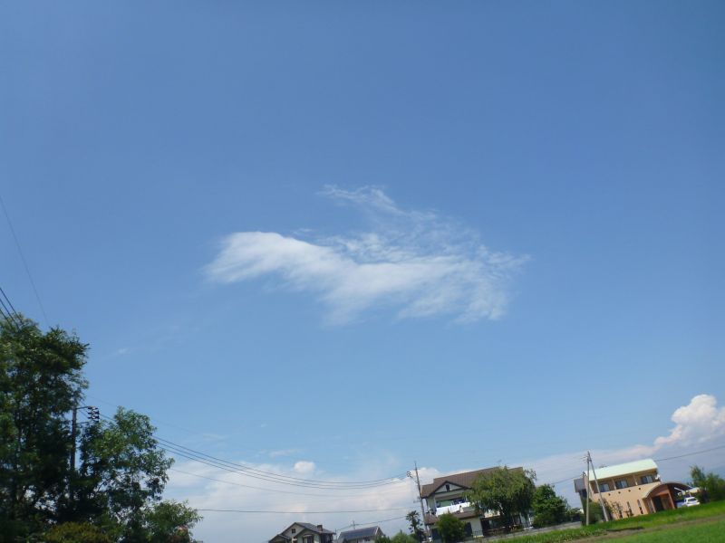 イメージ 11