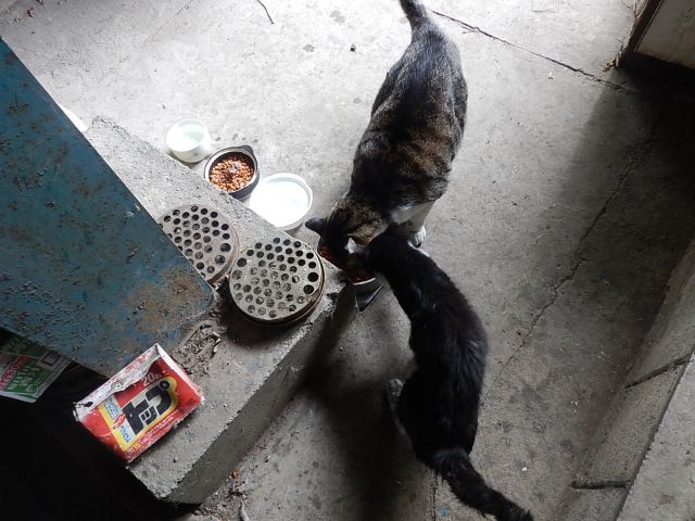 イメージ 3