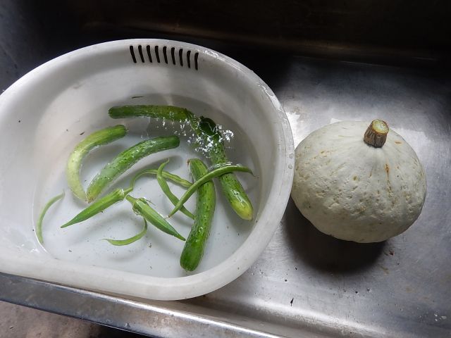 イメージ 6