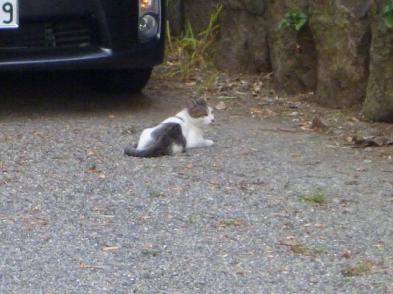 イメージ 6