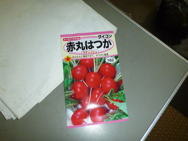 イメージ 6