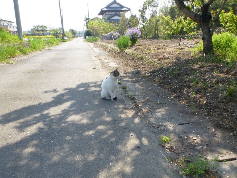 イメージ 3