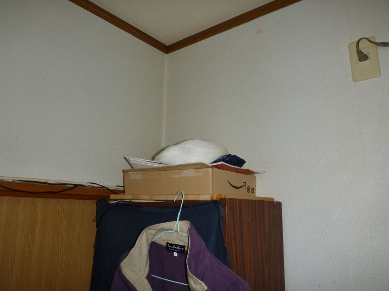 イメージ 8