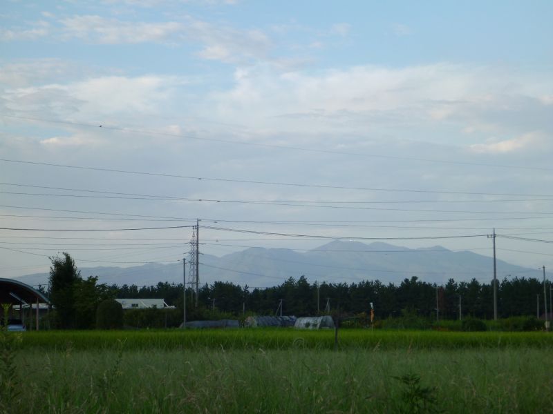 イメージ 7
