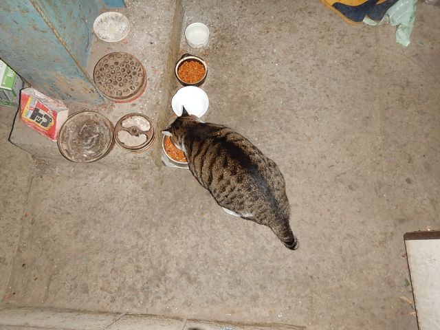 イメージ 5