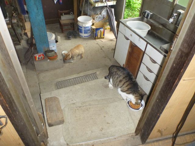 イメージ 10