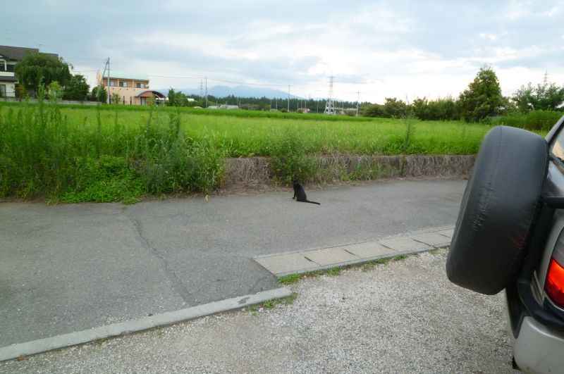 イメージ 4
