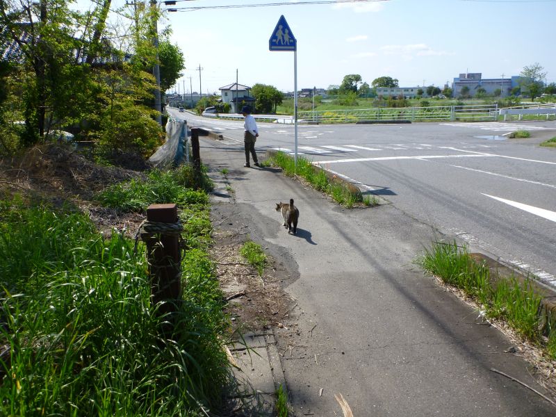 イメージ 4