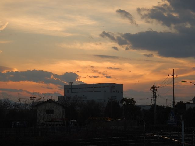 イメージ 9