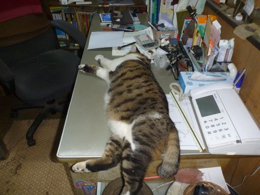 イメージ 5