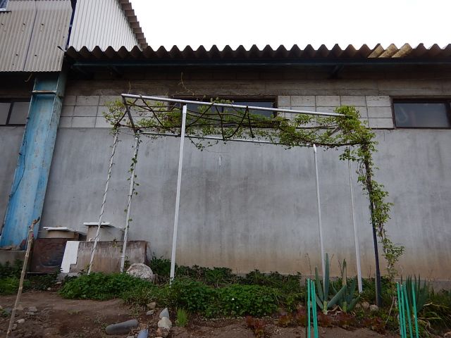イメージ 9